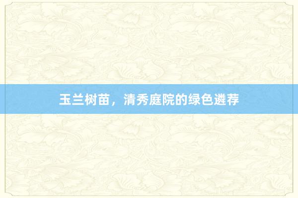 玉兰树苗，清秀庭院的绿色遴荐